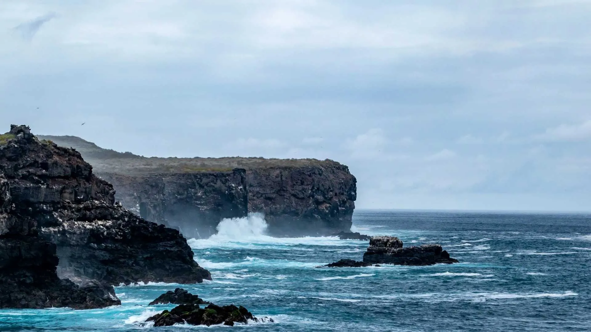 Galapagos